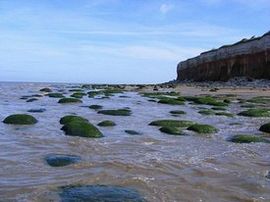 Rockpools at the foot of the cliffs