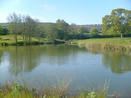 One of the coarse fishing lakes