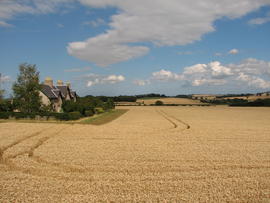 The Trio of Traditional Cottages Overlooking the Tweed Valley