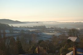 Misty Vew from Cottage and Garden