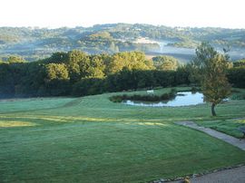 Can you spot the deer by the pond?