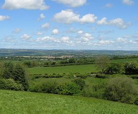 view from the cottage