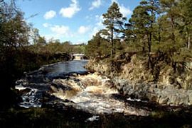 River Tees 