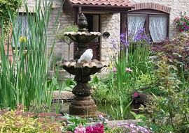 Doves & Fountain
