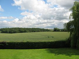 View from Wellrose Barn