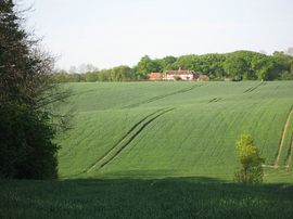 View toward Wellrose Barn