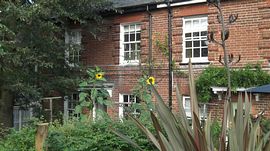 Cottage from back garden