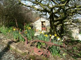 The path up to the woodland garden