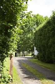 Driveway to Little Dodges