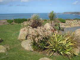 Longships Watch Garden