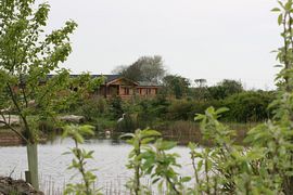 view across the lake