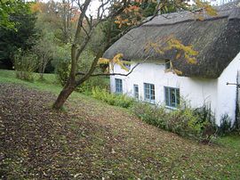 Cottage and garden