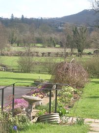 view from cottage