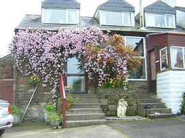 Lakelynn Cottage in Summer