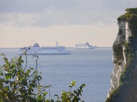 View from the Bedroom