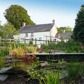 Blaenfforest from the pond garden