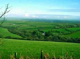 View of Blaenfforest