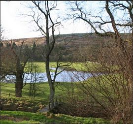 View over the byrne and land