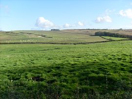 View from front door.