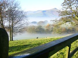 View from cottages