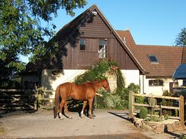 Stable Loft with friend