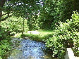 Riverside meadows to rear of cottage