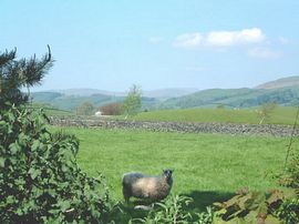 this field adjoins the garden