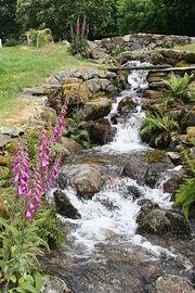 Stream in Farmyard