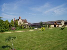 View across garden