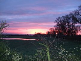 View from Cottage