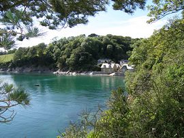 Durgan from the water