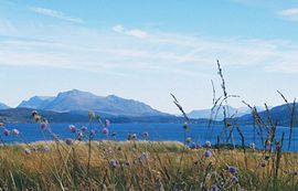 The view from Coille Bheag