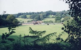 View of farm