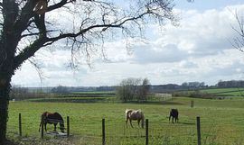 View from the Forge at Broadgate Farm