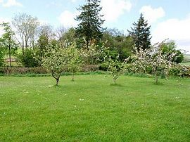 Enclosed, spacious garden