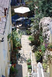 Sunny patio garden.