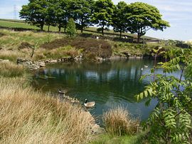 Fishing pond
