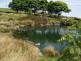 Fishing pond