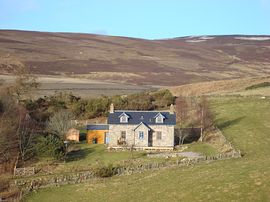 Midtown farmhouse looking north