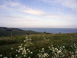 View from the cliff top