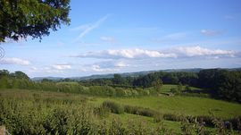 View From Cottages