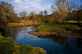 The River Tamar - our boundary