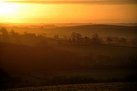 In the misty early morning light