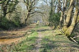 Along the towpath you might meet a squirrel o