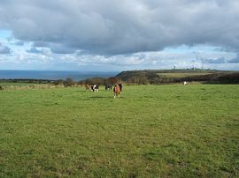 View across the lower paddock