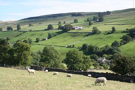 View from Hill Top Cottage