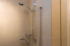 Bathroom (Shower and hand held shower)