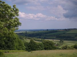 View towards the coast