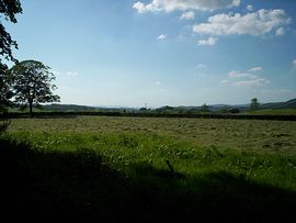 view from bedrooms