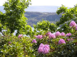 View from Tignabruich